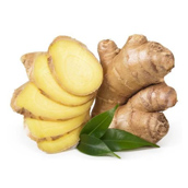 Ginger